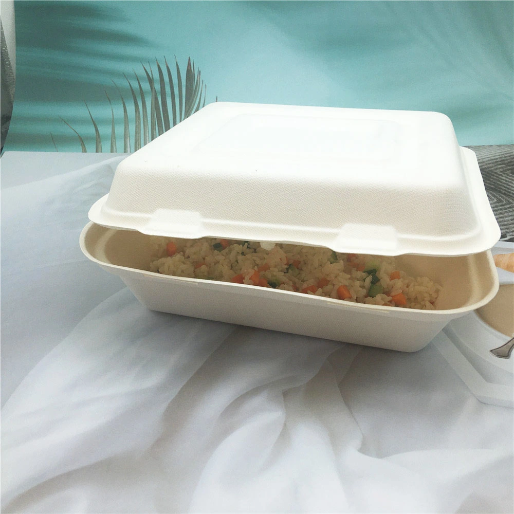 Sugarcane Bagasse Fast Food Container Box