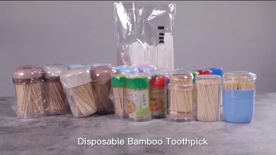 Stuzzicadenti di bambù monouso di buona qualità personalizzati in tubo di plastica